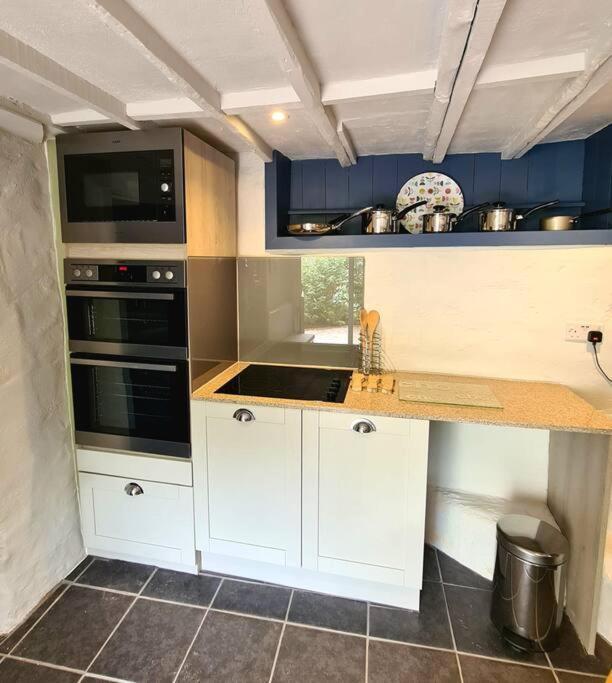 Mill Cottage Garden Annexe Newton Abbot Buitenkant foto