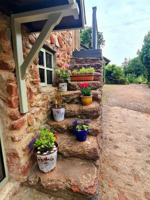 Mill Cottage Garden Annexe Newton Abbot Buitenkant foto